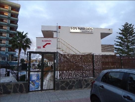 Apartamentos Los Nardos Playa del Ingles  Exterior photo